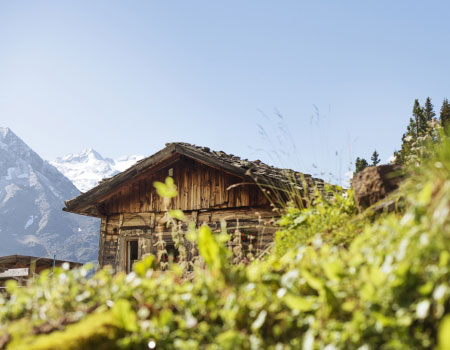 hütte sommer haus mair ferienwohnung fulpmes stubaital